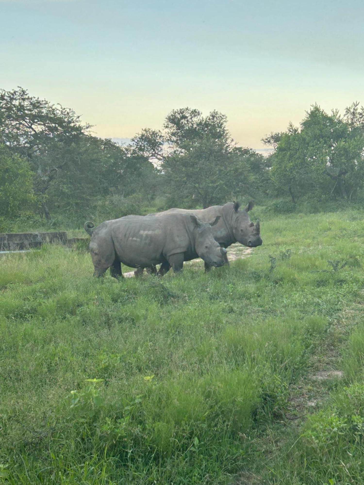 AM Lodge Hoedspruit Eksteriør billede