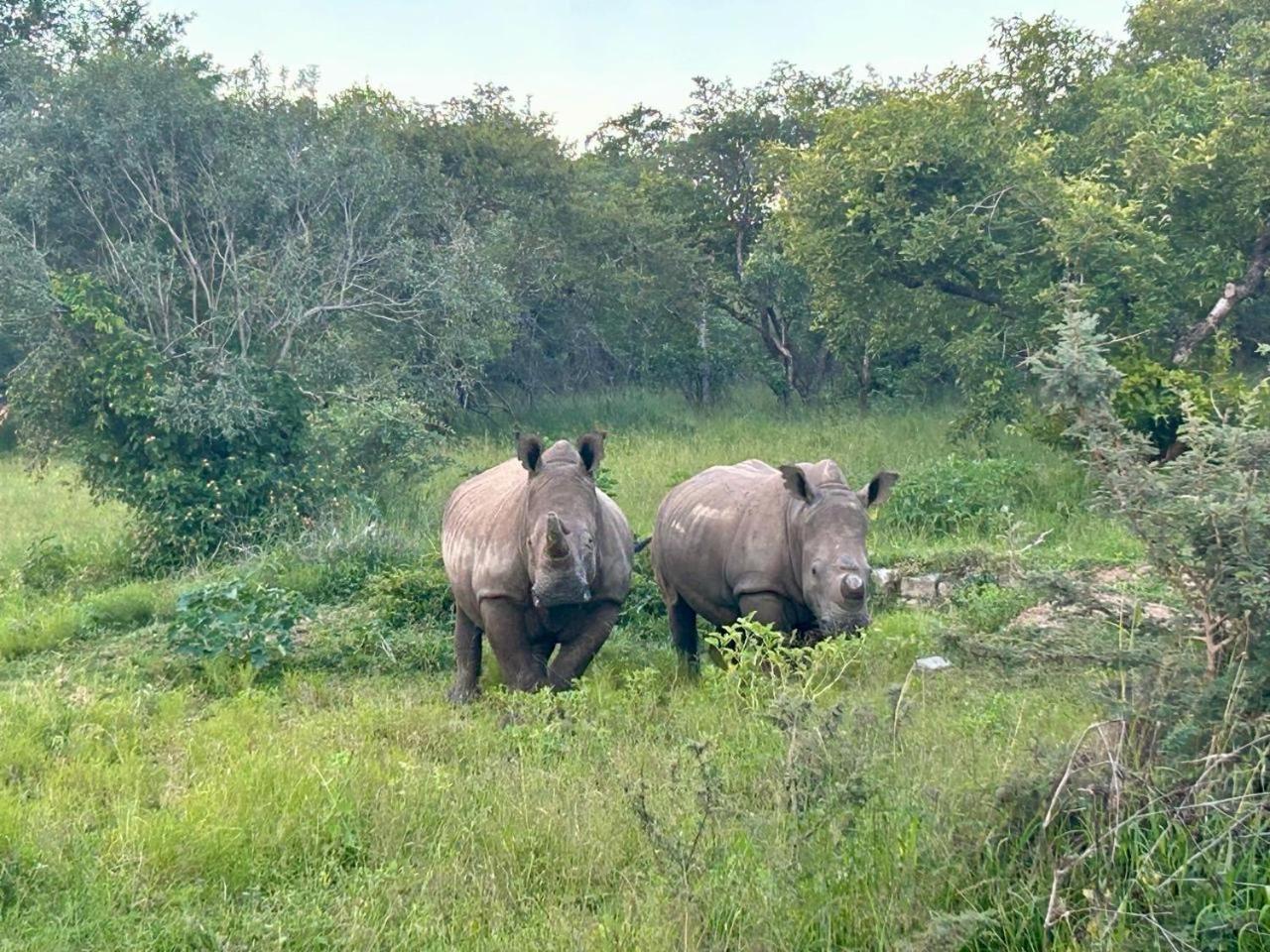 AM Lodge Hoedspruit Eksteriør billede