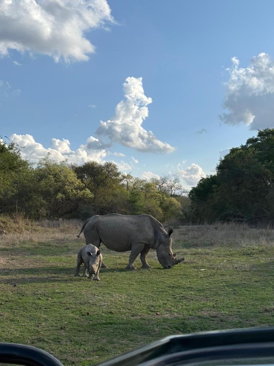 AM Lodge Hoedspruit Eksteriør billede